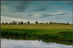 Evening Sun , Willoughby.