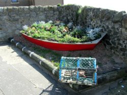 Flower Boat Wallpaper