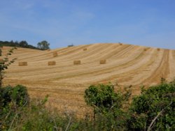 Napton on the hill Wallpaper