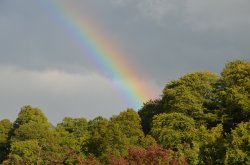 Ilam Rainbow Wallpaper