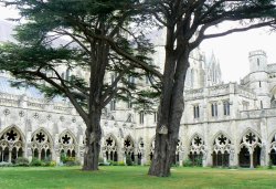 Salisbury Cathedral Cloister Wallpaper