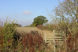 Country walk to Hampton Gay, Oxfordshire Wallpaper