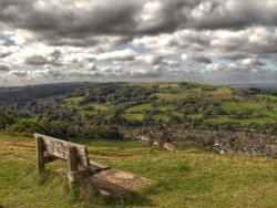 Woodchester Valley