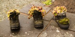 Small time gardening in Ambleside Wallpaper