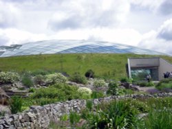 National Botanic Garden of Wales - the Great Glasshouse Wallpaper