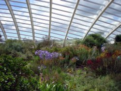 National Botanic Garden of Wales - the Great Glasshouse Wallpaper