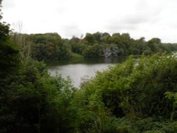 The Lake at Blenheim Palace, Woodstock Wallpaper