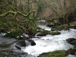 Golitha Falls Wallpaper