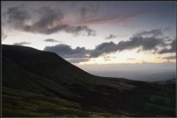 Lord Hereford's Knob. Wallpaper