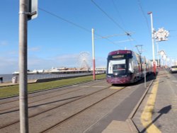 One of the new trams (very nice). Wallpaper