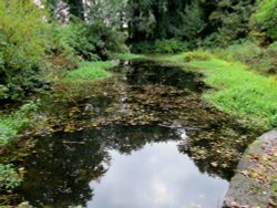 Silverburn Park Pond Wallpaper