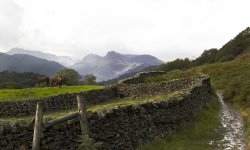 Langdale Pikes from Loughrigg 1 Wallpaper