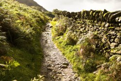 Rydal Track Wallpaper