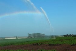 Watering, Pattingham Wallpaper