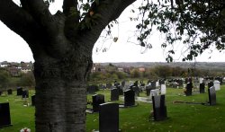 Irthlingborough Cemetery Wallpaper