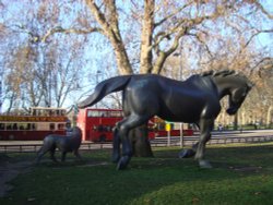 Park Lane, the Animals in War Memorial Wallpaper