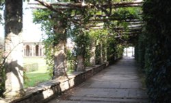 View towards lake at Hever Castle Wallpaper