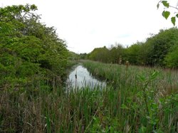 Remnants of the Dearne and Dove Canal Wallpaper