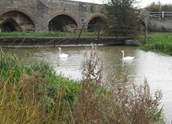 Irthlingborough floods Wallpaper