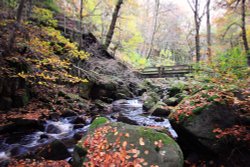 Padley Gorge Wallpaper