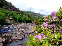 Beddgelert Snowdonia National  Park Wallpaper