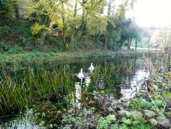 Lowdwell Locks Wallpaper