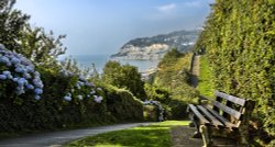 Cliff top path, Shanklin, Isle of Wight Wallpaper