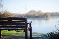 Branston Water Park - A Lone Bench Wallpaper