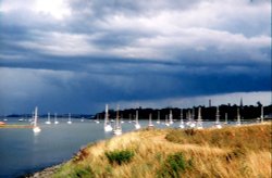 Holbrook Bay part of the river Stour at Manningtree Wallpaper