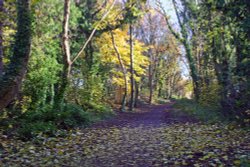 The North Dorset Trailway