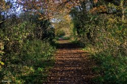 The North Dorset Trailway