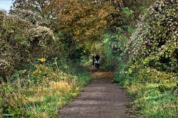 The North Dorset Trailway