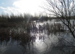 Irthlingborough floods Wallpaper