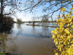 Denford Floods Wallpaper