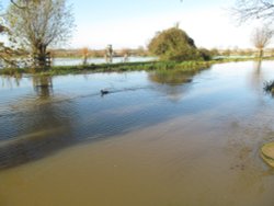 Denford Floods Wallpaper