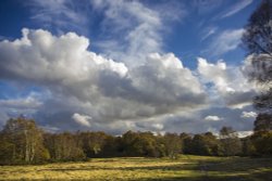 Autumn Afternoon in Sutton Park Wallpaper