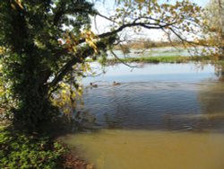 Denford Floods Wallpaper