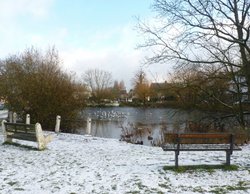 Lower Ashtead Pond Wallpaper