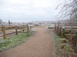 Bookham Common - in frosty mode. Wallpaper