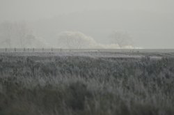 A chilly morning in Snettisham Wallpaper