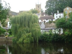 Willow in the River Nidd riverside Wallpaper