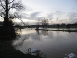 Denford Floods Wallpaper