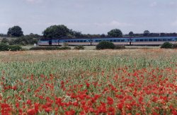 A London to Nottingham train passes Syston Wallpaper