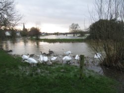 Denford Floods Wallpaper