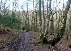 Quantock Hills Wallpaper