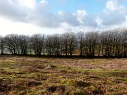 Quantock Hills Wallpaper