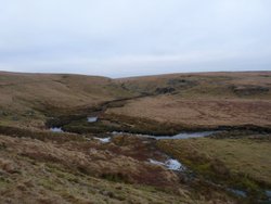 Dartmoor Wallpaper