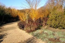 Anglesey Abbey Gardens Wallpaper