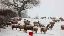 Atherstone snowy morning Wallpaper