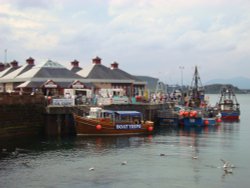 Oban Harbour Wallpaper